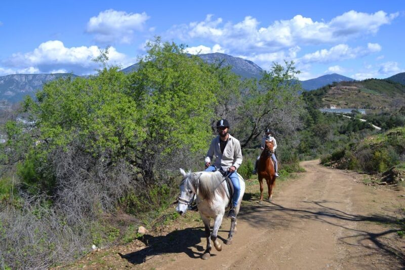Alanya: Horse Riding Club Transfer Service - Authentic Traveler Insights and Tips