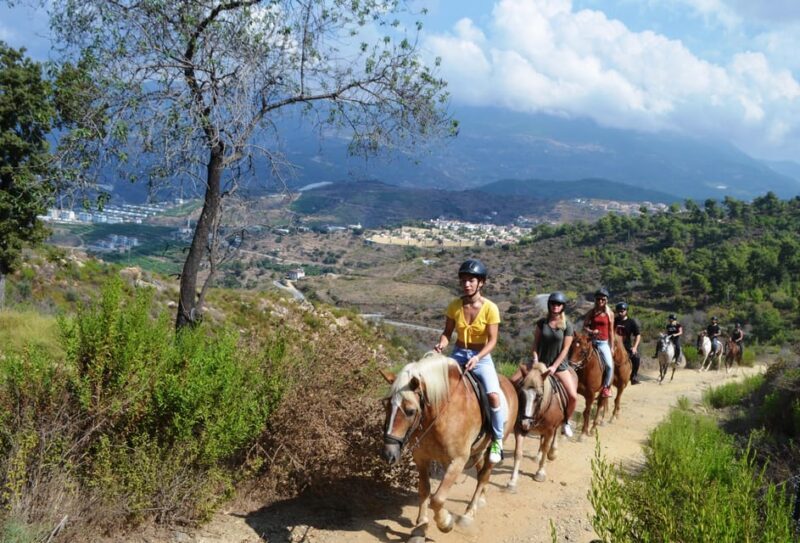 Alanya: Horse Riding Club Transfer Service - Who Is This Tour Best For?