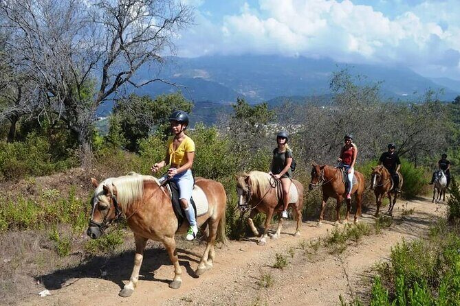Alanya Horse Riding Experience - The Sum Up: Who Is This Tour Best For?