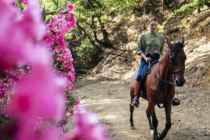 Alanya Horse Riding Experience With Free Hotel Transfer - What the Tour Offers: An Honest Breakdown
