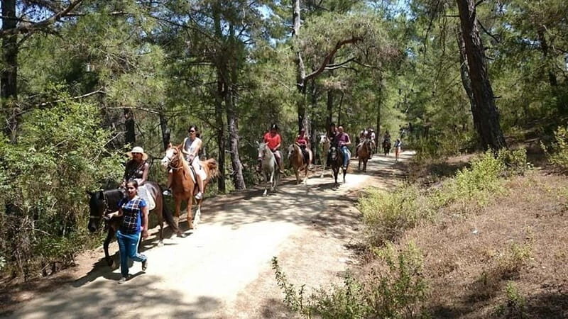 Alanya: Horseback Ride Through Nature near Syedra Ruins - Key Points