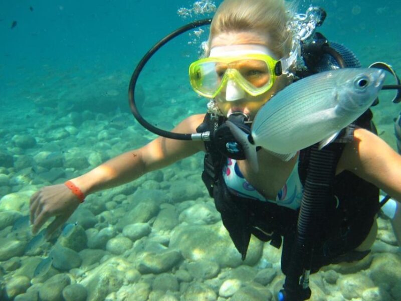 Alanya: Scuba Diving Experience with Lunch - Key Points