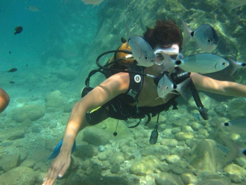 Alanya: Scuba Diving Experience with Lunch - The Marine Experience
