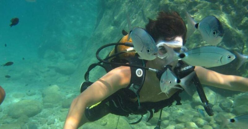 Alanya: Scuba Diving Experience with Lunch - Price and Value