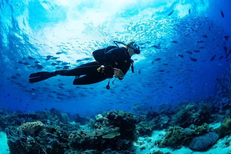 Alanya: Scuba Diving Tour Incl. Lunch with Hotel Transfer - Key Points
