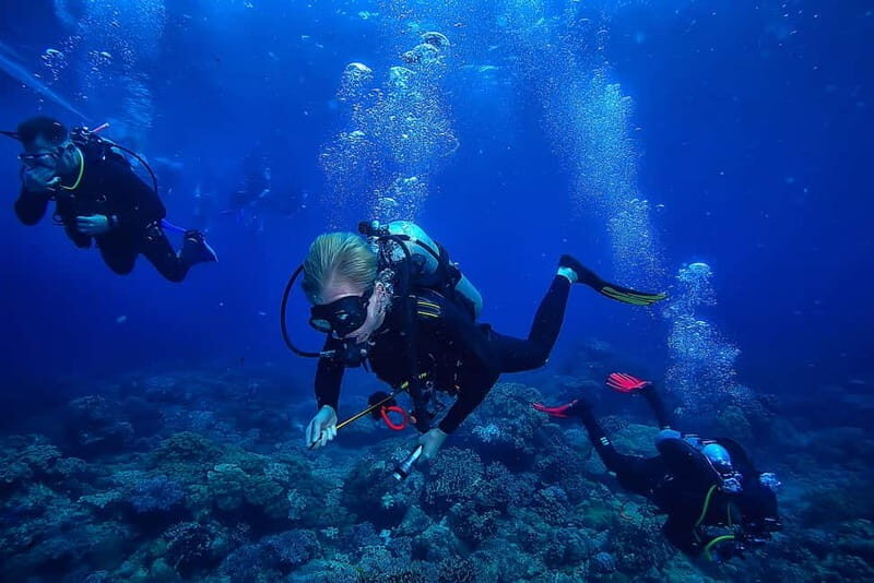 Alanya: Scuba Diving Tour with Lunch and Hotel Transfers - The Experience: What You Can Expect on the Day