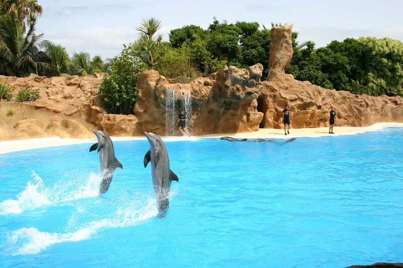 Alanya: Sealanya Dolphinpark Dolphin Show Tour - Introduction