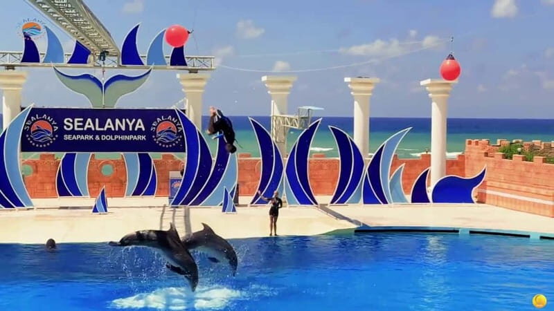 Alanya: Sealanya Dolphinpark Dolphin Show Tour - Who Is This Tour Best For?