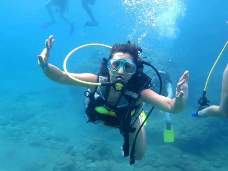 Alanya: Turtle Island Scuba Diving (2 Dives) - Who is This Tour For?