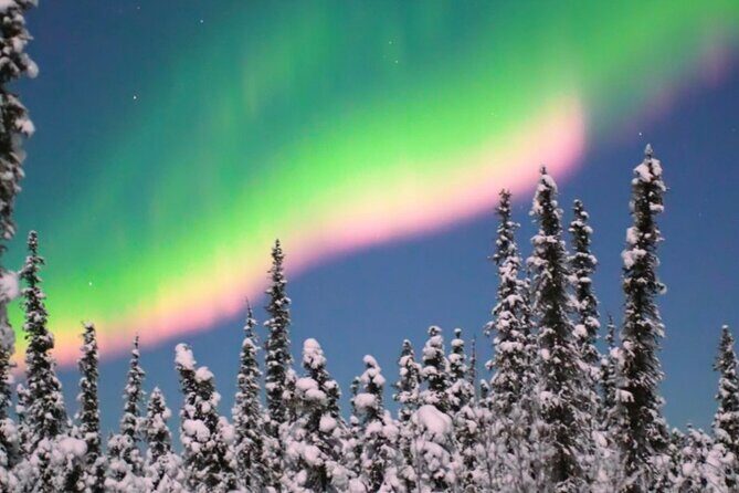 Alaska Aurora Season and Fairbanks Aurora Chasing Explore - Why Choose This Aurora Tour?