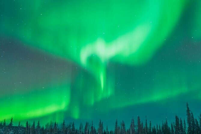 Alaska Aurora Season and Fairbanks Aurora Chasing Explore - Who Should Book This Tour?