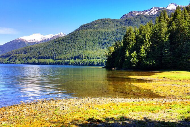 Alaska Bears and Silver Bay Homestead - Is This Tour Right for You?