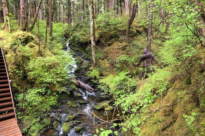 Alaska Bigfoot Adventures - What to Expect from Alaska Bigfoot Adventures