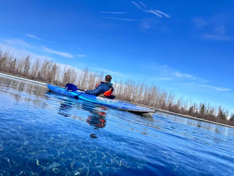 Alaska: Cold Weather Kayaking Experience - What the Price Reflects and Who It’s For