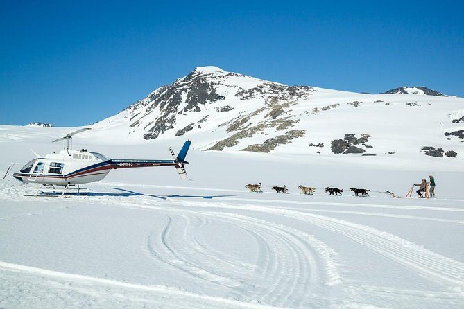 Alaska Helicopter and Glacier Dogsled Tour - ANCHORAGE AREA - FAQ