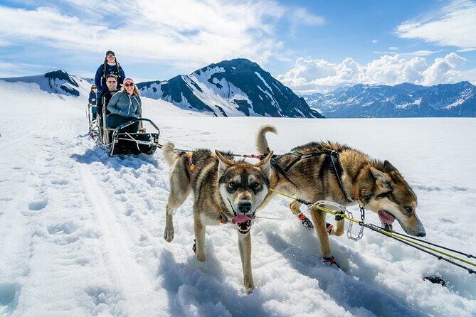 Alaska Helicopter and Glacier Dogsled Tour - SEWARD AREA - Key Points