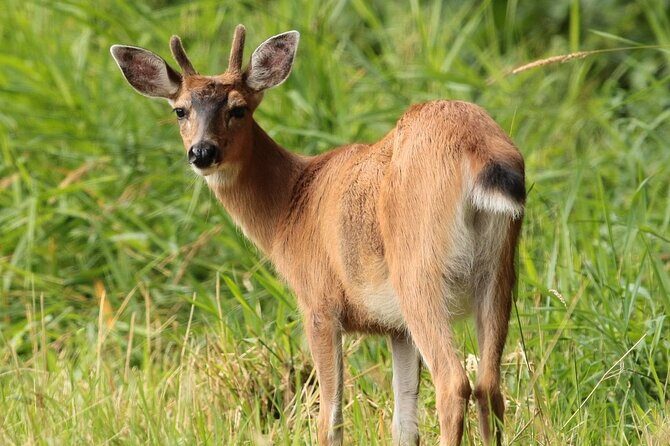 Alaska Native Cultural and Wildlife Adventure - Final Thoughts