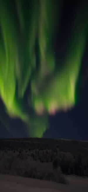 Alaska: Private Northern Lights Viewing Tour - Who Is This Tour Best For?