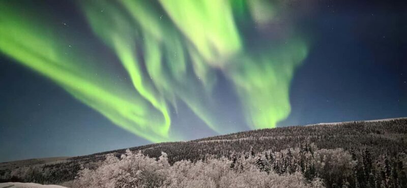 Alaska: Private Northern Lights Viewing Tour - The Value of This Tour