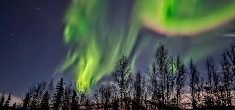 Alaska: Private Northern Lights Viewing Tour - The Reviews Say It All