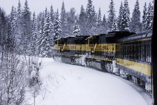 Alaska Railroad Aurora Winter Fairbanks to Anchorage One Way - Who Would Love This Experience?