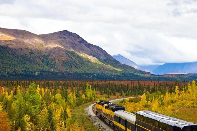 Alaska Railroad Denali to Anchorage One Way - Authentic Traveler Feedback
