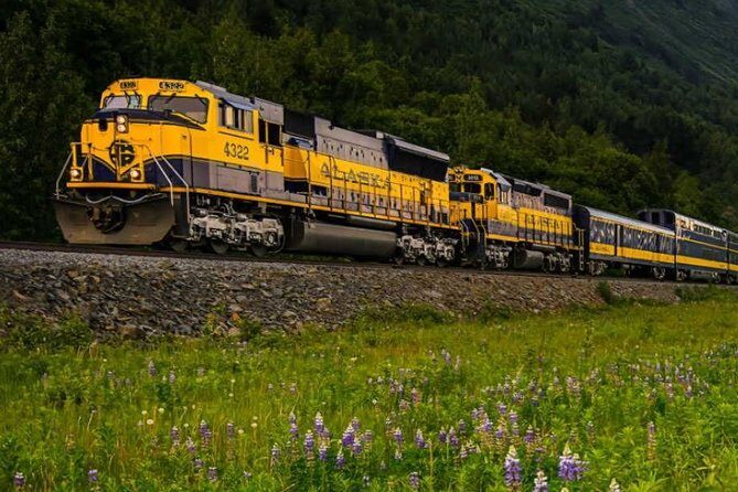Alaska Railroad Denali to Anchorage One Way - Who Should Consider This Tour?