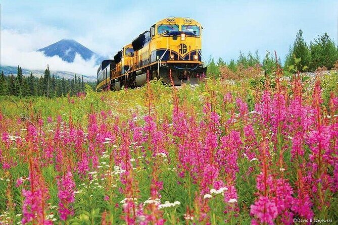 Alaska Railroad Fairbanks to Denali One Way - The Arrival at Denali