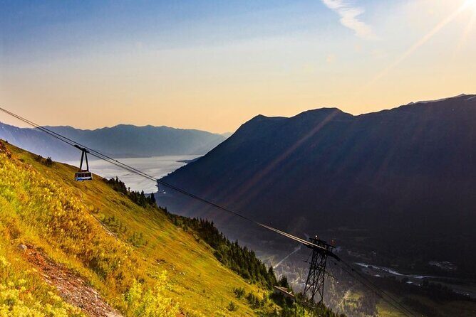Alaska Wildlife Center and Turnagain Arm Tour w/Alyeska Tram - Who Is This Tour Best For?