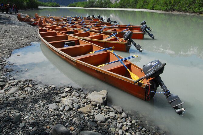 Alaska Wildlife Voyageur Canoe Safari from Haines - Final Thoughts