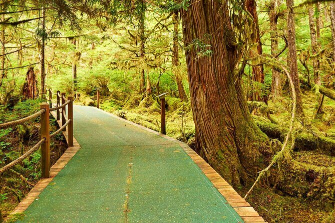 Alaskan Lodge Adventure and Seafeast - Final Thoughts