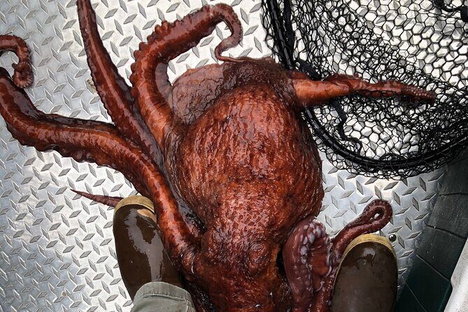 Alaskan Salmon Fishing with optional Adaptive Gear - What Travelers Say