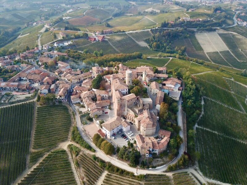 Alba: Truffle Hunting with Cheese, Truffle, & Wine Tastings - What to Expect from the Tour