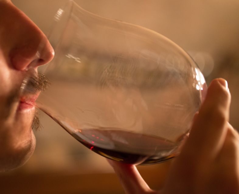 Alba: Truffle Hunting with Cheese, Truffle, & Wine Tastings - The Sum Up