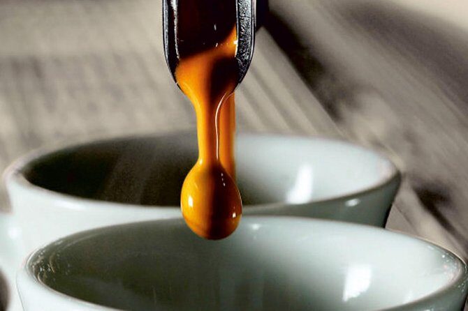 ALBA walking & TASTING tour (food, wine and history) - Deep Dive into the Alba Walking & Tasting Tour