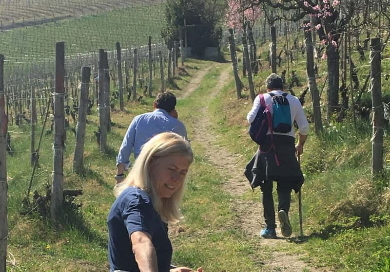 Alba: Wine Tasting and Tour with a Local Producer - An In-Depth Look at the Alba Wine Tour Experience