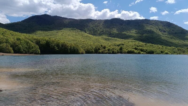 Albania: Culture in AI Development: Art Residency Project - The Cost and What it Covers