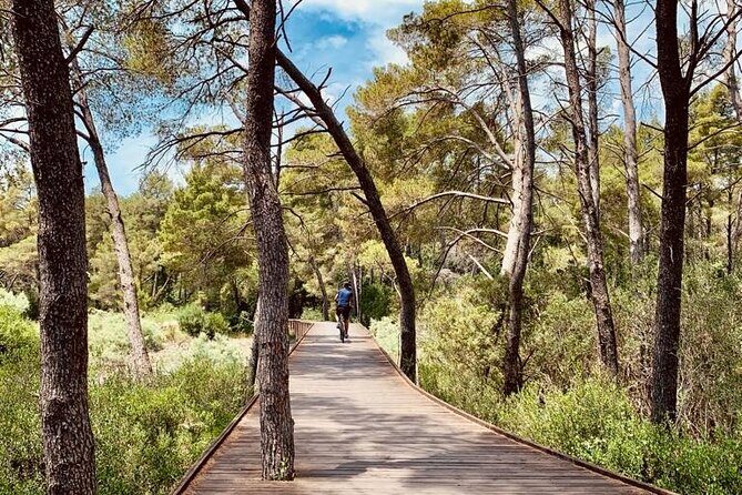 Albanian Gems: Berat and Karavasta Lagoon Day Trip - Who is This Tour Best Suited For?