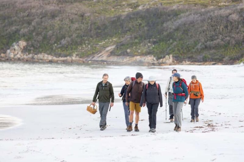 Albany: Lighting the Sound Twilight Hike - Key Points