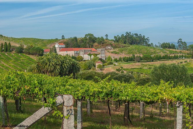 Albariño Private Wine Tour from Santiago de Compostela - FAQs
