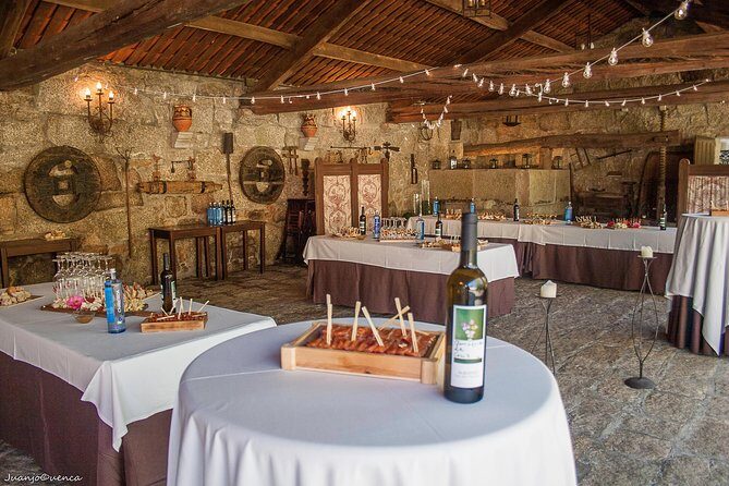 Albariño trails Private Wine Tour/Shore excursion from Vigo - Key Points