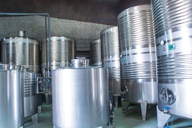 Albariño trails Private Wine Tour/Shore excursion from Vigo - Real Guests’ Experiences