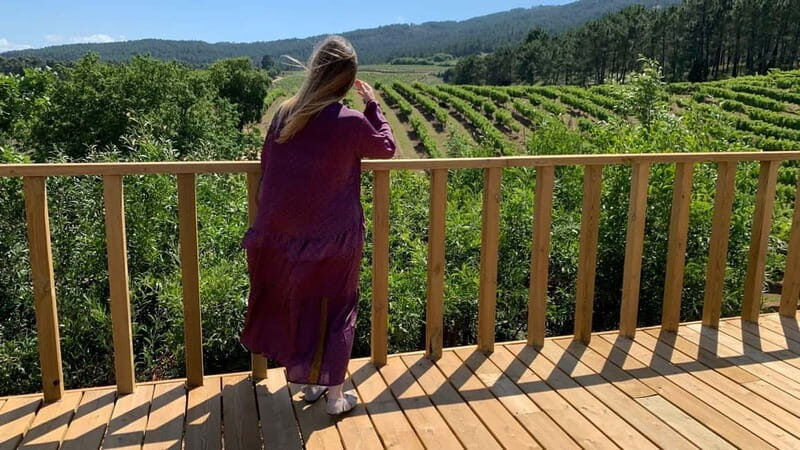 Albariño Wine Tour: Taste, Learn & Take Home a Special Gift - Who Will Love This Tour?