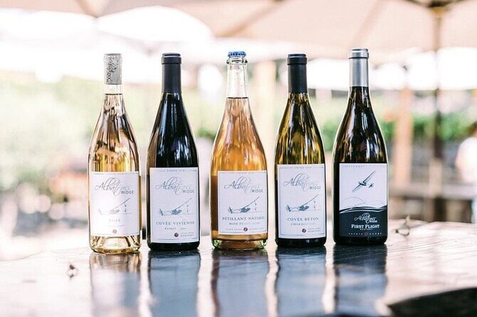 Albatross Ridge Vineyards Electric Bike Tour & Wine Tasting - Who Is This Tour Best For?