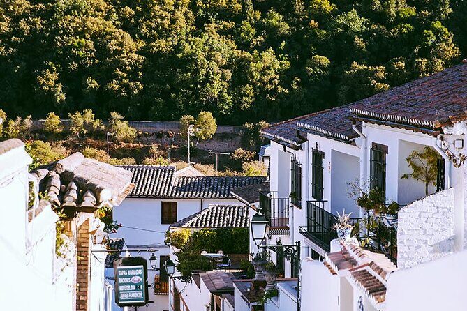 Albayzin and Sacromonte Guided Walking Tour in Granada - FAQs