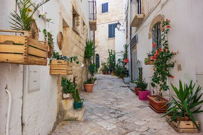Alberobello, Castellana Caves and Polignano Guided Tour from Bari - FAQs