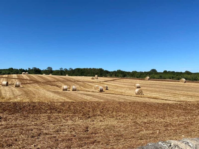 Alberobello: E-Bike Tour to Locorotondo with Ice Cream - Practical Tips for Your Ride