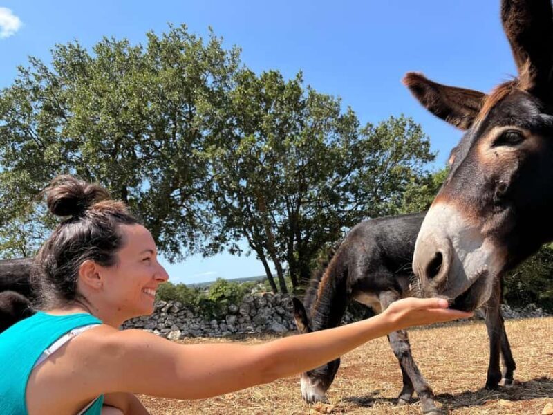 Alberobello e-bike tour, trulli, mill and donkey farm - Revisiting Alberobello