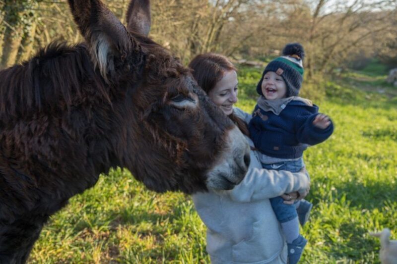 Alberobello e-bike tour, trulli, mill and donkey farm - What Do the Reviews Say?