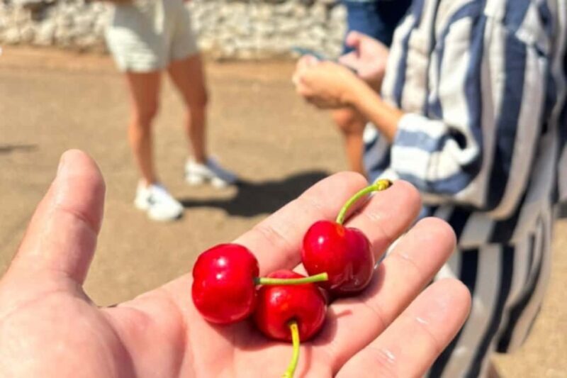 Alberobello: E-Bike Tour with Focaccia and Wine - Who Should Consider This Tour?
